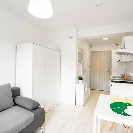 Daire Apartmenty Ozarow - Aneks Kuchenny, Bezplatny Parking, Spokoj, Blisko Centrum