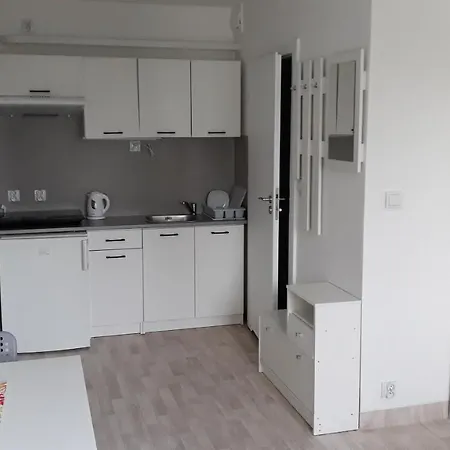 Daire Apartmenty Ozarow - Aneks Kuchenny, Bezplatny Parking, Spokoj, Blisko Centrum